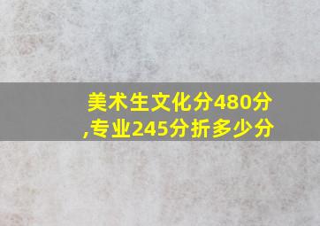 美术生文化分480分,专业245分折多少分