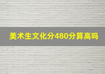 美术生文化分480分算高吗