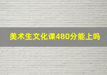 美术生文化课480分能上吗