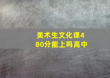 美术生文化课480分能上吗高中