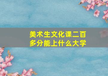 美术生文化课二百多分能上什么大学