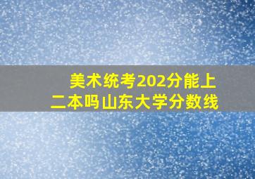 美术统考202分能上二本吗山东大学分数线