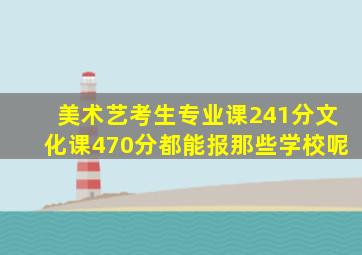 美术艺考生专业课241分文化课470分都能报那些学校呢