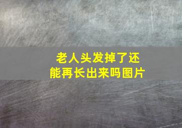 老人头发掉了还能再长出来吗图片