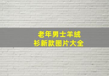 老年男士羊绒衫新款图片大全