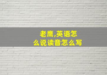 老鹰,英语怎么说读音怎么写