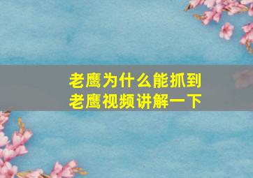 老鹰为什么能抓到老鹰视频讲解一下