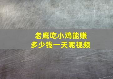 老鹰吃小鸡能赚多少钱一天呢视频