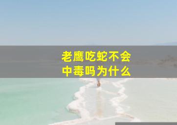 老鹰吃蛇不会中毒吗为什么