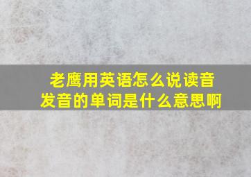 老鹰用英语怎么说读音发音的单词是什么意思啊