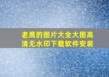 老鹰的图片大全大图高清无水印下载软件安装