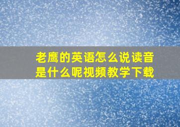 老鹰的英语怎么说读音是什么呢视频教学下载