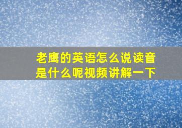 老鹰的英语怎么说读音是什么呢视频讲解一下