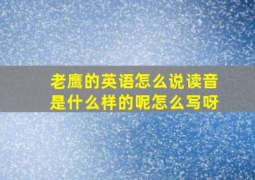 老鹰的英语怎么说读音是什么样的呢怎么写呀