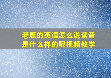 老鹰的英语怎么说读音是什么样的呢视频教学