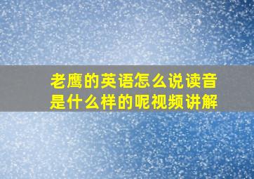 老鹰的英语怎么说读音是什么样的呢视频讲解