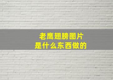 老鹰翅膀图片是什么东西做的