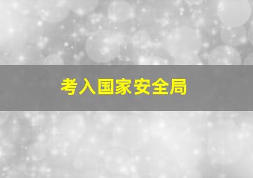 考入国家安全局