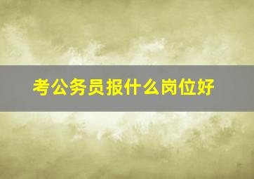 考公务员报什么岗位好