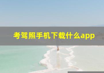 考驾照手机下载什么app