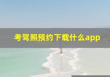 考驾照预约下载什么app