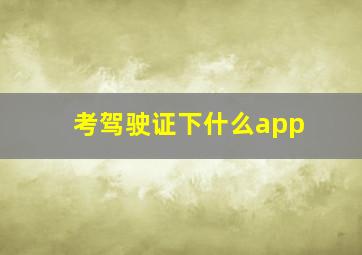 考驾驶证下什么app