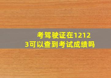 考驾驶证在12123可以查到考试成绩吗