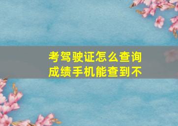 考驾驶证怎么查询成绩手机能查到不