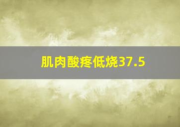 肌肉酸疼低烧37.5