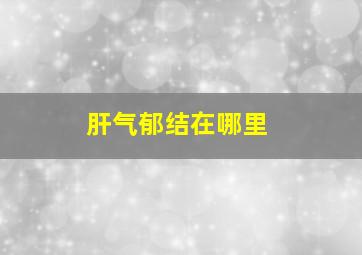 肝气郁结在哪里