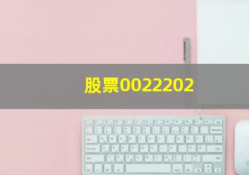 股票0022202