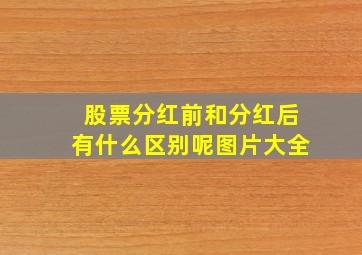 股票分红前和分红后有什么区别呢图片大全