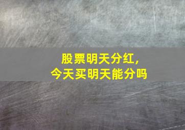 股票明天分红,今天买明天能分吗