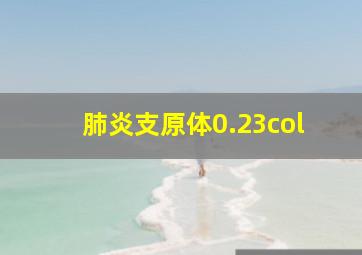 肺炎支原体0.23col