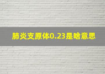 肺炎支原体0.23是啥意思