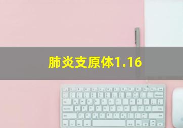 肺炎支原体1.16