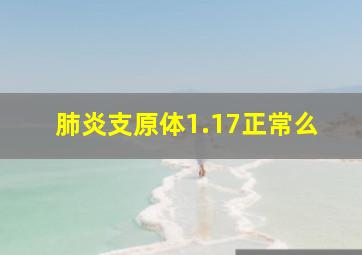 肺炎支原体1.17正常么