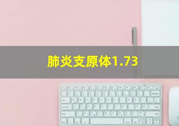 肺炎支原体1.73