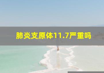 肺炎支原体11.7严重吗