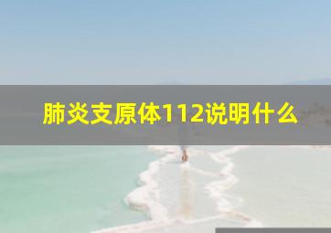 肺炎支原体112说明什么