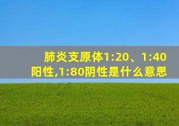 肺炎支原体1:20、1:40阳性,1:80阴性是什么意思