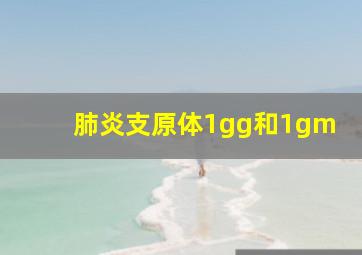 肺炎支原体1gg和1gm