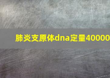 肺炎支原体dna定量40000