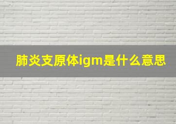 肺炎支原体igm是什么意思