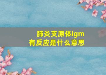 肺炎支原体igm有反应是什么意思