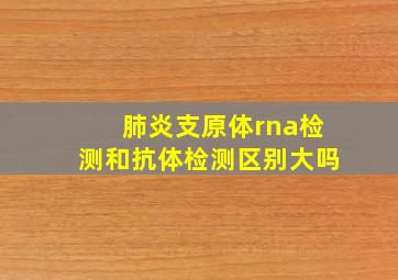 肺炎支原体rna检测和抗体检测区别大吗