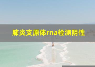 肺炎支原体rna检测阴性