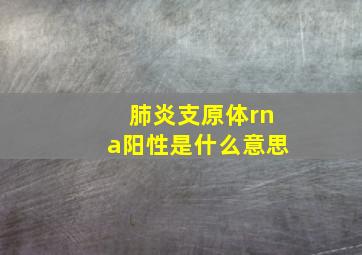 肺炎支原体rna阳性是什么意思