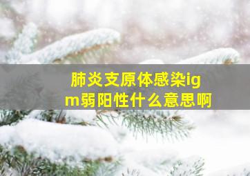 肺炎支原体感染igm弱阳性什么意思啊