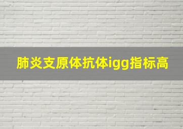 肺炎支原体抗体igg指标高